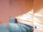 LesikPisy bongacams livecam show performer room profile