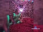 Aleks-and-Valeri bongacams livecam show performer room profile