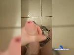 Malek26-1 bongacams livecam show performer room profile