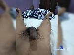 Medo822 bongacams livecam show performer room profile