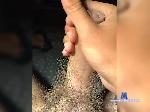 LickBalls bongacams livecam show performer room profile