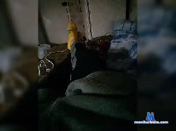 Nikolya37 bongacams live cam performer profile