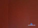 Djigo7 bongacams livecam show performer room profile