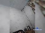 GoodWenzBord bongacams livecam show performer room profile