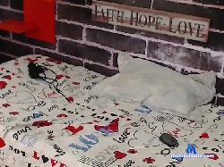 alondrasweet bongacams live cam performer profile