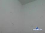 miss-sarita bongacams livecam show performer room profile