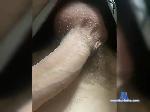 Dlya-Dam bongacams livecam show performer room profile