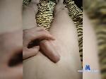 DON-TRIBIANY bongacams livecam show performer room profile