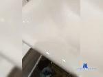 Graf244 bongacams livecam show performer room profile