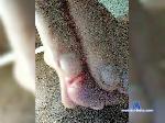 Dedushka3 bongacams livecam show performer room profile