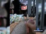 Urokodaki bongacams livecam show performer room profile