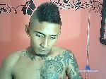 arthurlatin bongacams livecam show performer room profile