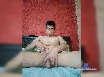 Alexander2798 bongacams livecam show performer room profile