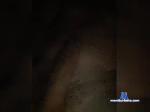 Jungemande bongacams livecam show performer room profile