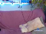 Albion02 bongacams livecam show performer room profile