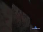 Krestall99 bongacams livecam show performer room profile