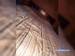 Negroxxx2023 bongacams livecam show performer room profile