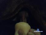 -TEPE6OHbKA- bongacams livecam show performer room profile