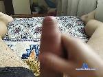 Tolik1e bongacams livecam show performer room profile