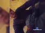 Andrew98b bongacams livecam show performer room profile