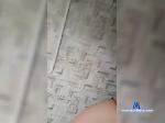 SweetBong bongacams livecam show performer room profile