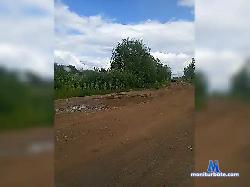 Gormon08 bongacams live cam performer profile