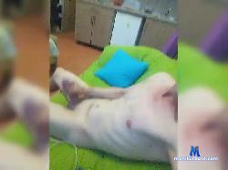 AlexBC--1 bongacams live cam performer profile