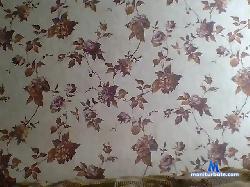 EvilBanan bongacams live cam performer profile