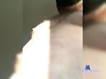 GoldSkunk bongacams livecam show performer room profile