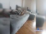 Anabeast bongacams livecam show performer room profile