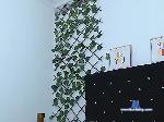 Stefanygreey bongacams livecam show performer room profile