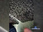 Golowka33 bongacams livecam show performer room profile