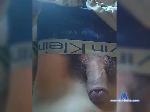 Michael737 bongacams livecam show performer room profile
