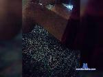 jaga2024 bongacams livecam show performer room profile