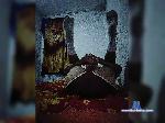 Saul4p bongacams livecam show performer room profile