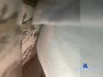 Gagarochka bongacams livecam show performer room profile