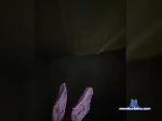 vasilisochkaa bongacams livecam show performer room profile