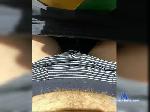 LevTopLev bongacams livecam show performer room profile