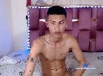 logandominik bongacams livecam show performer room profile
