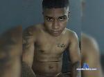 Danie782 bongacams livecam show performer room profile