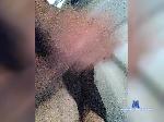 77shah77 bongacams livecam show performer room profile