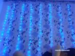 Emiiiily bongacams livecam show performer room profile