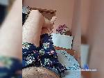 STINOL79 bongacams livecam show performer room profile