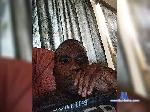 Kenyandick26 bongacams livecam show performer room profile