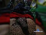 karlatrans1 bongacams livecam show performer room profile