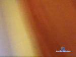 BronzeRamon bongacams livecam show performer room profile