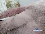 cukenVancosmo bongacams livecam show performer room profile
