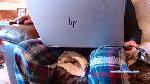 lubefour2 cam4 livecam show performer room profile