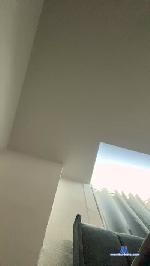 Vidsforyou cam4 livecam show performer room profile