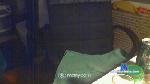 bobfromchicago cam4 livecam show performer room profile